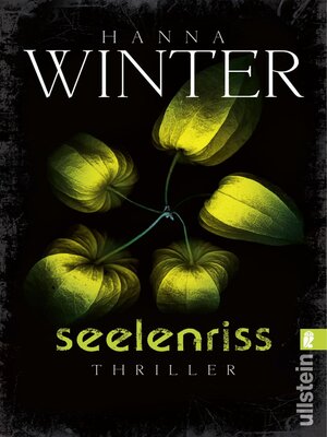 cover image of Seelenriss